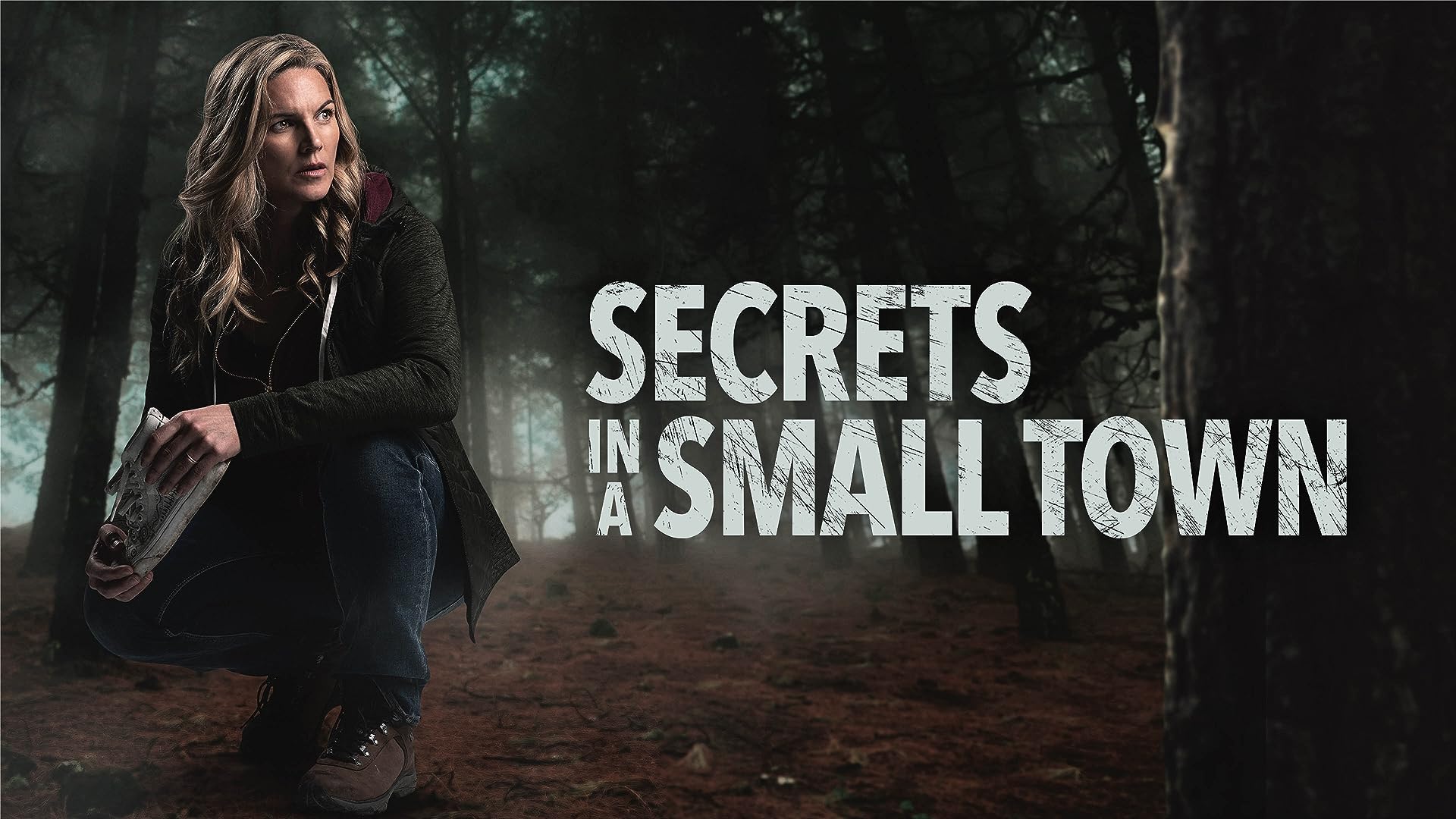 Secrets in a Small Town (2019) TV Movie) A Mother's Quest for Justice